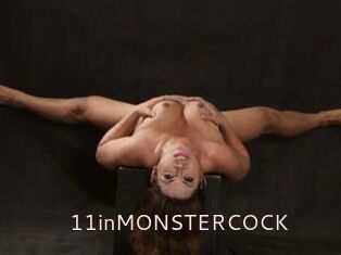 11inMONSTERCOCK