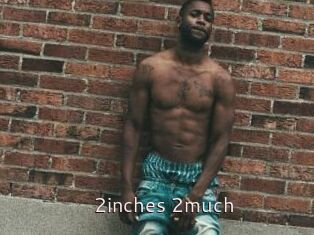 2inches_2much