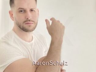 AaronSchulz