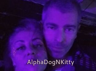 AlphaDogNKitty