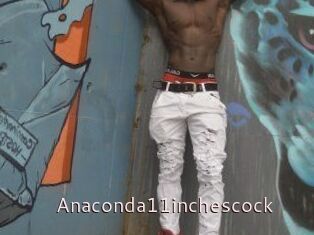 Anaconda11inchescock