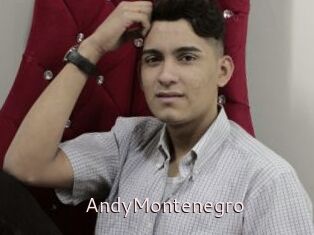 AndyMontenegro