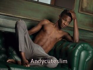 Andycuteslim