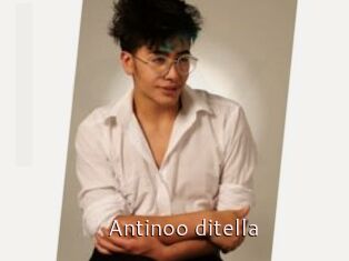 Antinoo_ditella