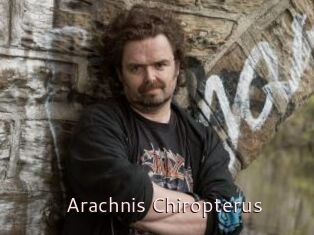 Arachnis_Chiropterus