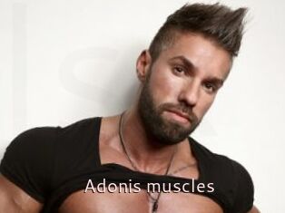Adonis_muscles