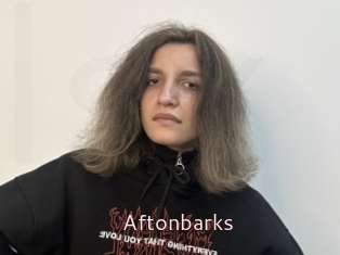 Aftonbarks