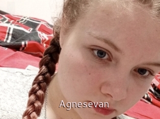 Agnesevan