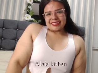 Alaia_kitten