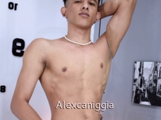 Alexcaniggia