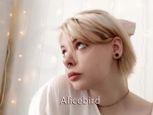Alicebird