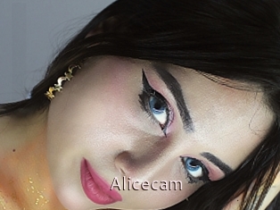 Alicecam