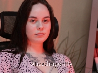 Alicedragonfly