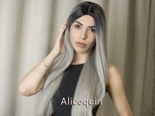 Alicequin