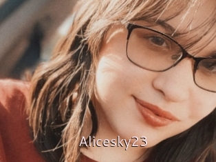 Alicesky23