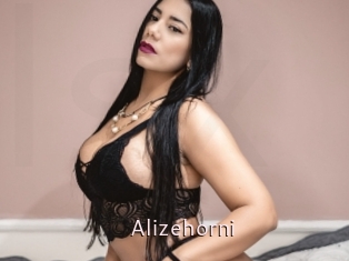 Alizehorni