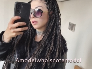 Amodelwhoisnotamodel