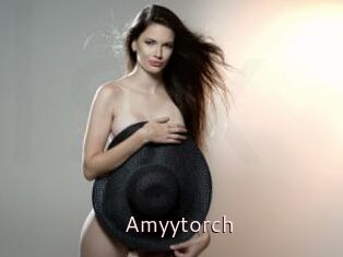 Amyytorch