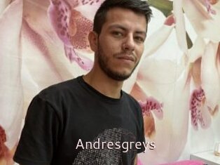 Andresgreys