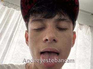 Andreyestebancam