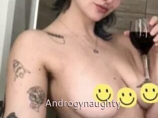 Androgynaughty