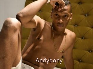 Andybony