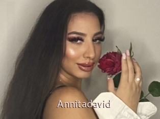 Annitadavid
