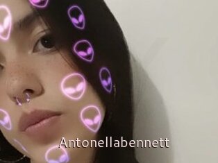 Antonellabennett