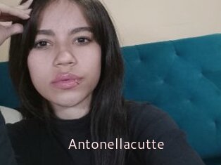 Antonellacutte