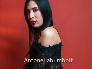 Antonellahumbolt