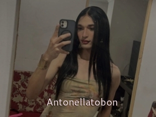 Antonellatobon