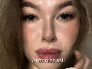 Antoniabasil