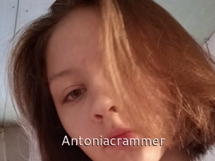 Antoniacrammer