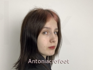 Antoniacrofoot