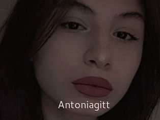 Antoniagitt