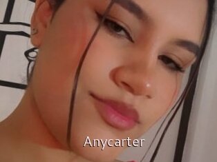 Anycarter