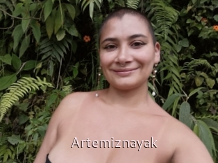 Artemiznayak