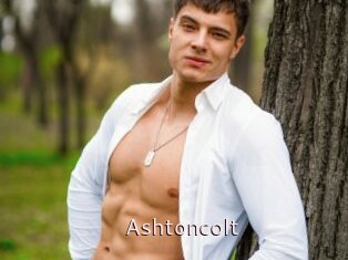 Ashtoncolt