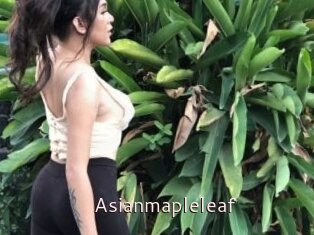 Asianmapleleaf