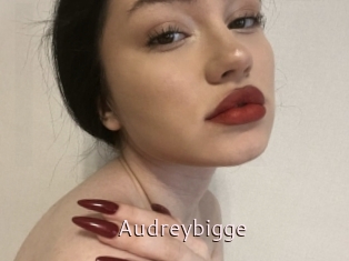 Audreybigge