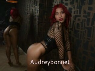 Audreybonnet
