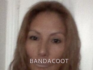 BANDACOOT