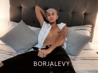 BORJALEVY