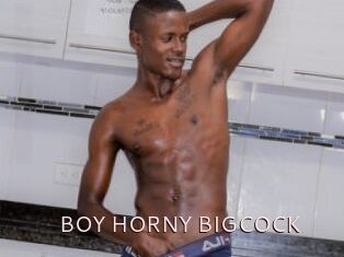 BOY_HORNY_BIGCOCK