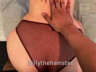 Billythehamster