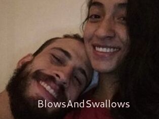 BlowsAndSwallows