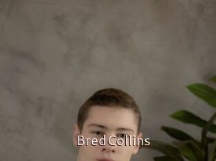 BredCollins