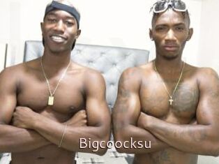 Bigcoocksu