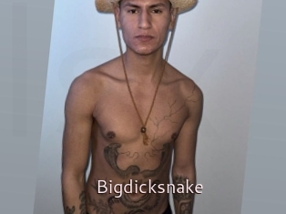 Bigdicksnake