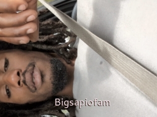 Bigsapiofam